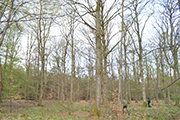 miniature de la photo 16